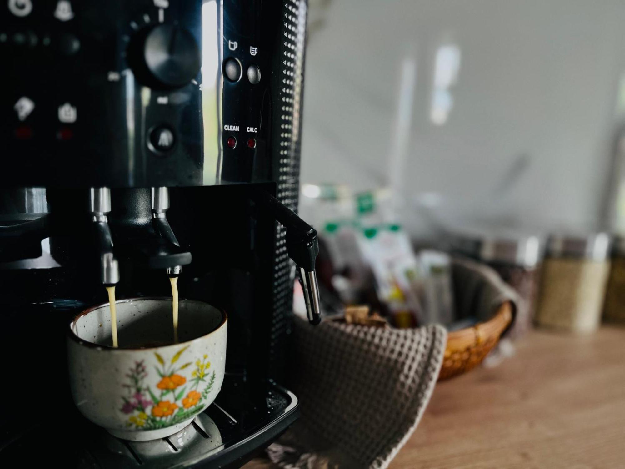 Apartament Studio Bian Timisoara Ngoại thất bức ảnh