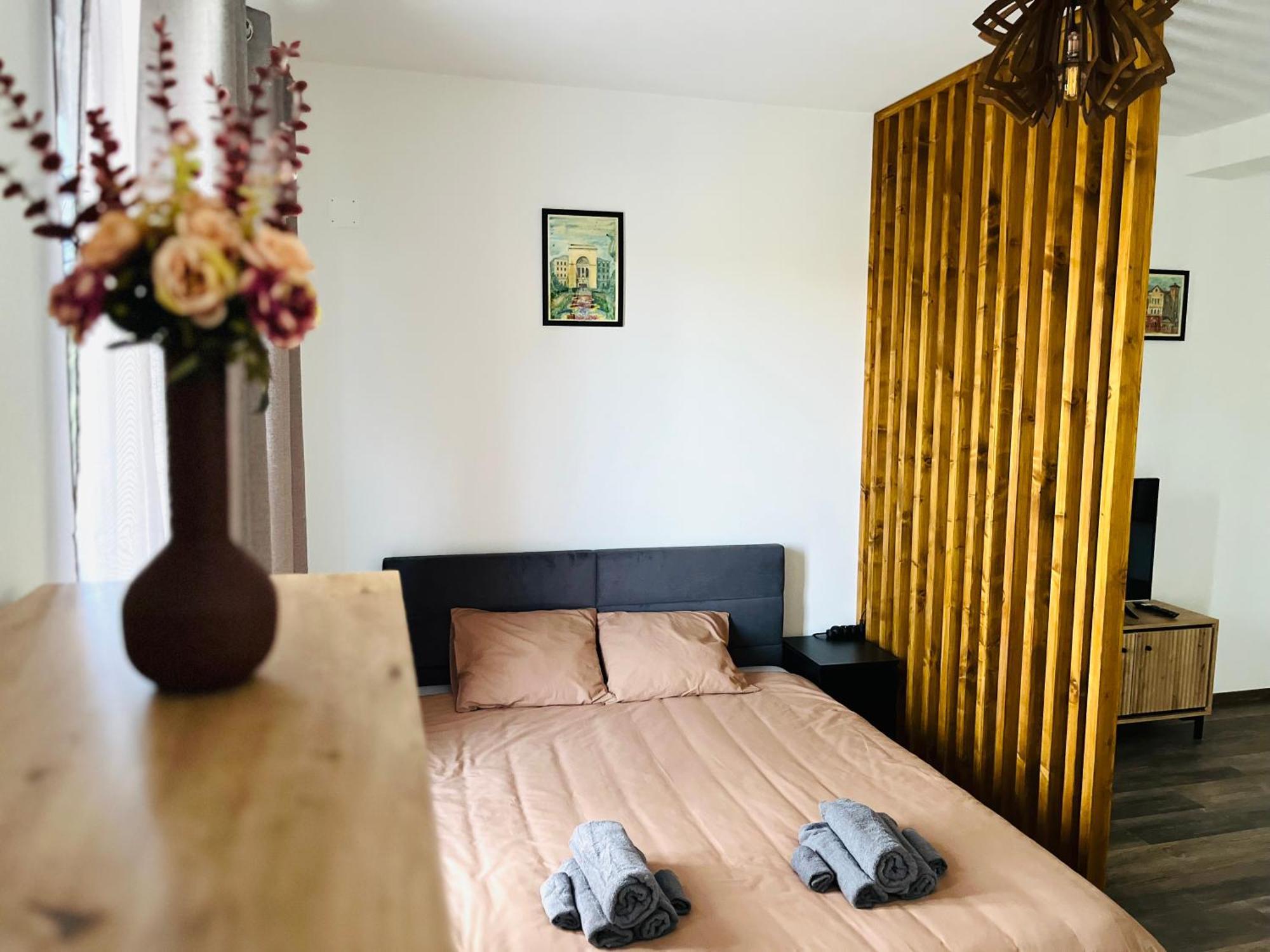 Apartament Studio Bian Timisoara Ngoại thất bức ảnh